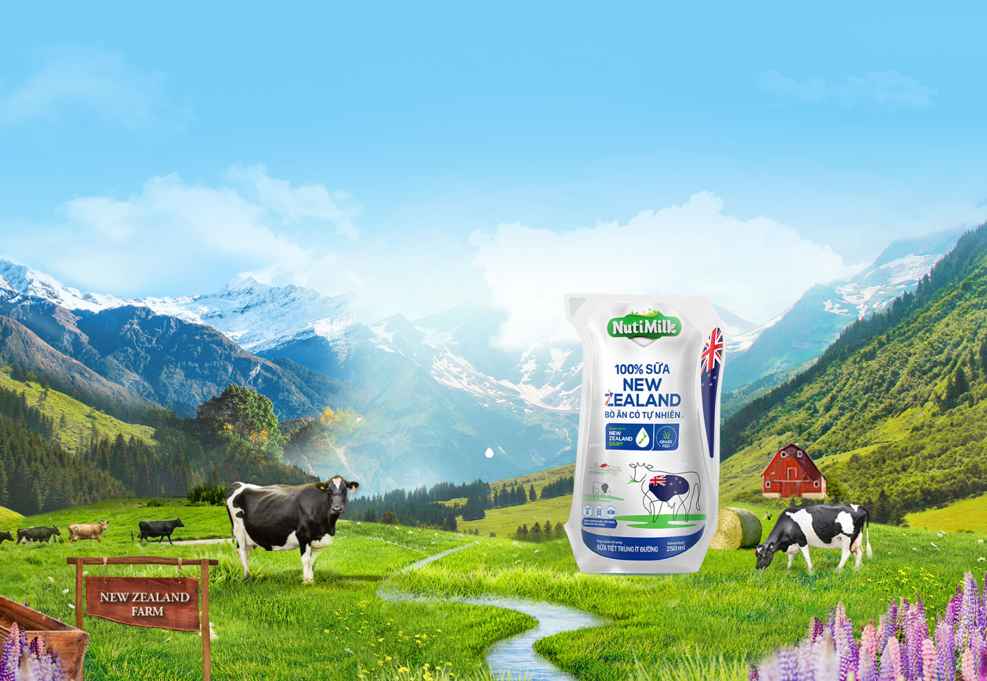 New Zealand Milk made from 100% natural grass-fed cows